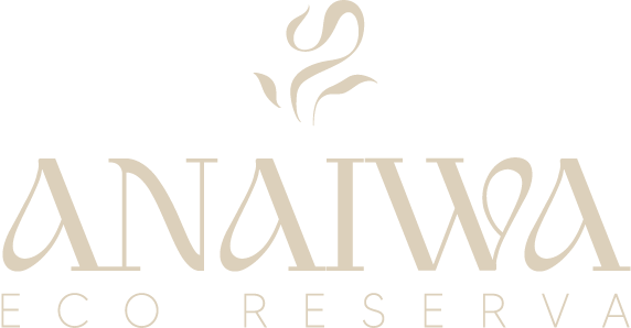 Anaiwa Logo